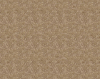 [1001111157_59] Flotex Colour у рулоні - s290006 Calgary sahara